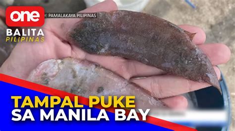 Tampal Puke o Flat Fish, nagkalat sa Manila Bay.